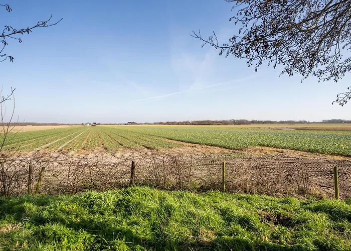 Het Mienterbos 펜션 *